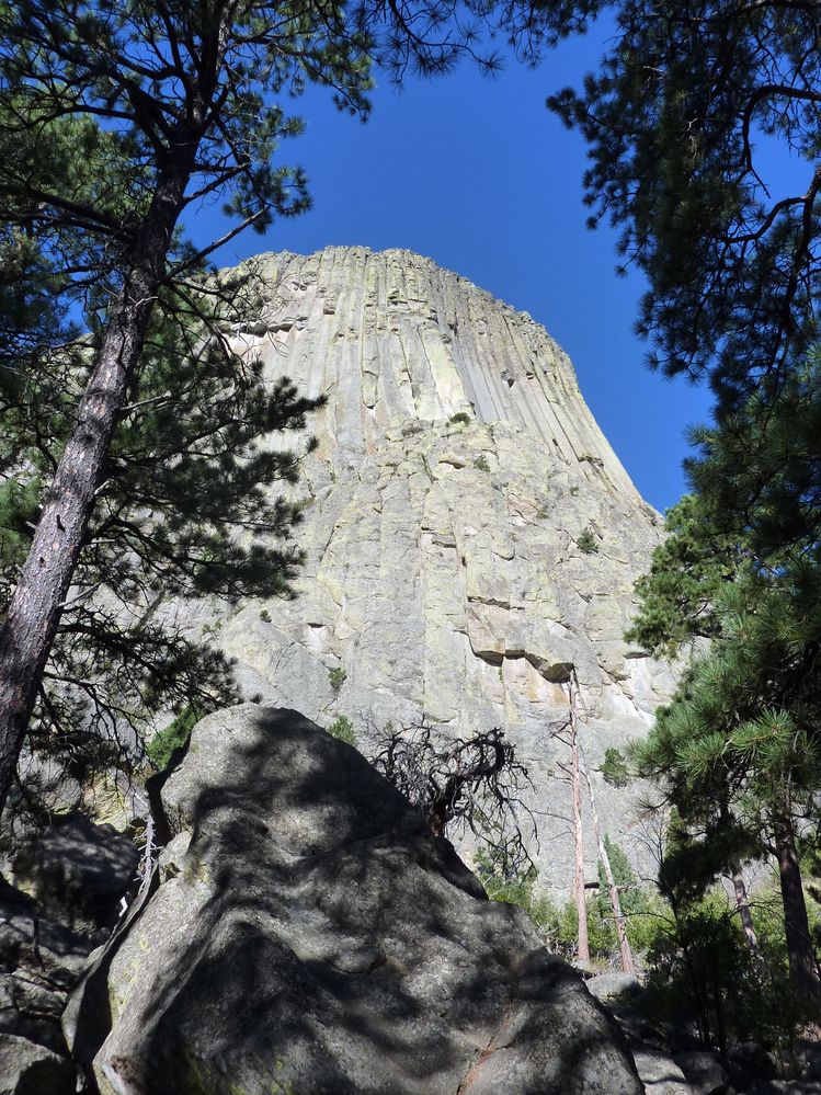 Devil tower (49).JPG